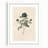 Vintage Grunge Rose Illustration - Distressed Botanical Floral Wall Art