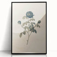 Vintage Grunge Rose Illustration - Distressed Botanical Floral Wall Art