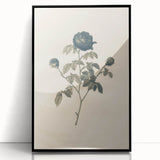 Vintage Grunge Rose Illustration - Distressed Botanical Floral Wall Art