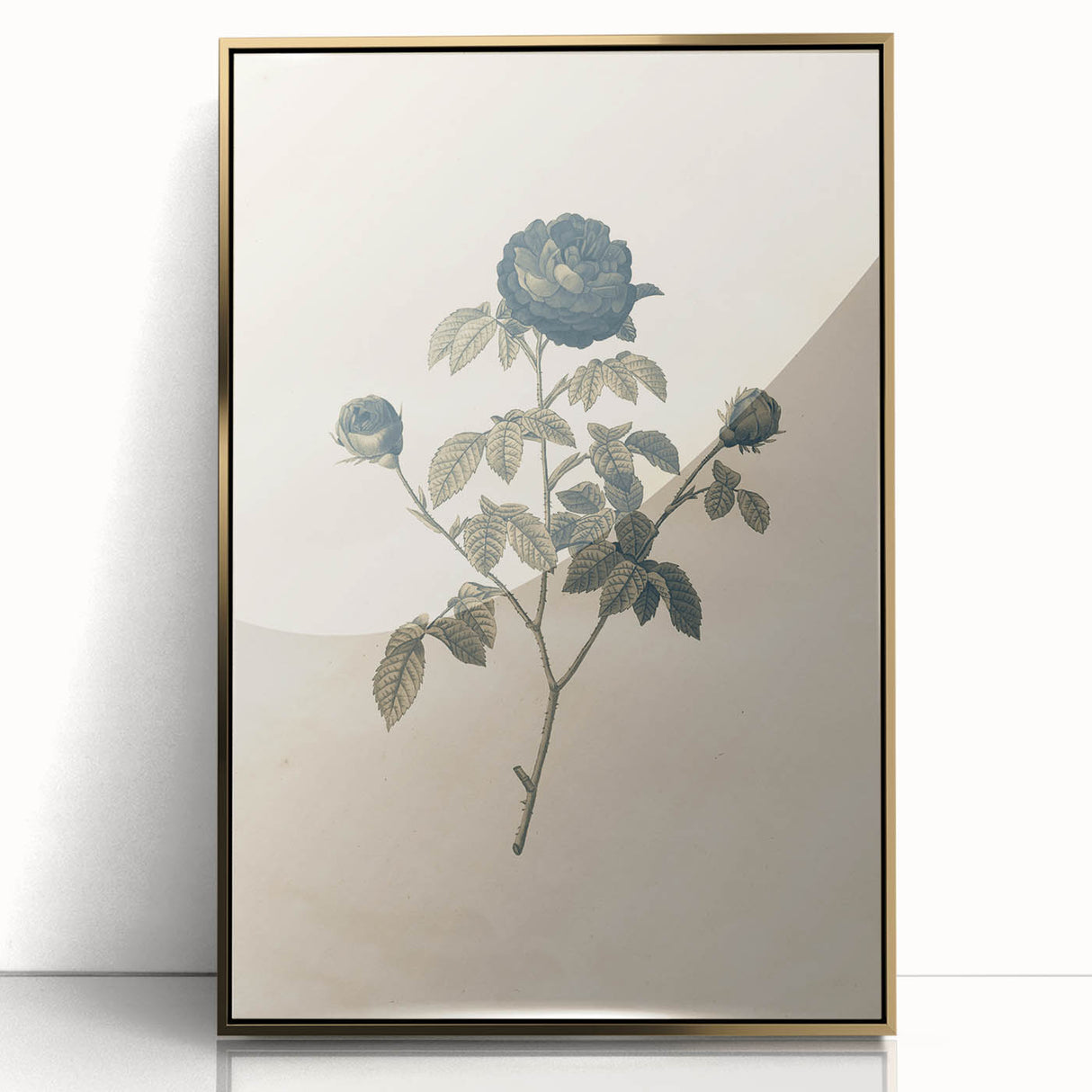 Vintage Grunge Rose Illustration - Distressed Botanical Floral Wall Art