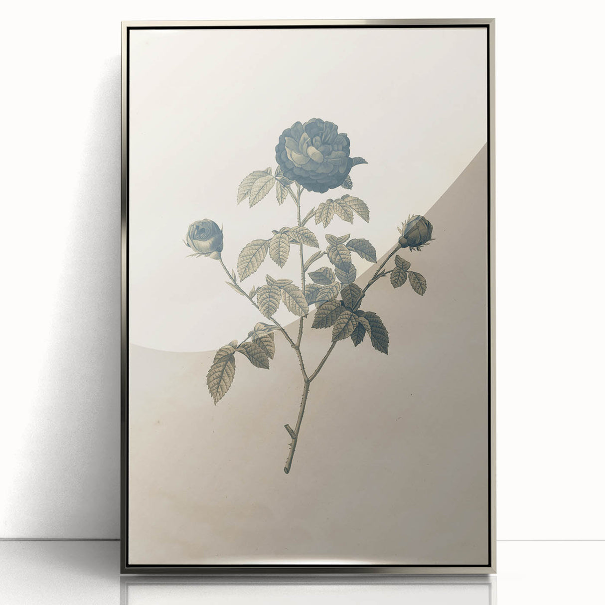 Vintage Grunge Rose Illustration - Distressed Botanical Floral Wall Art