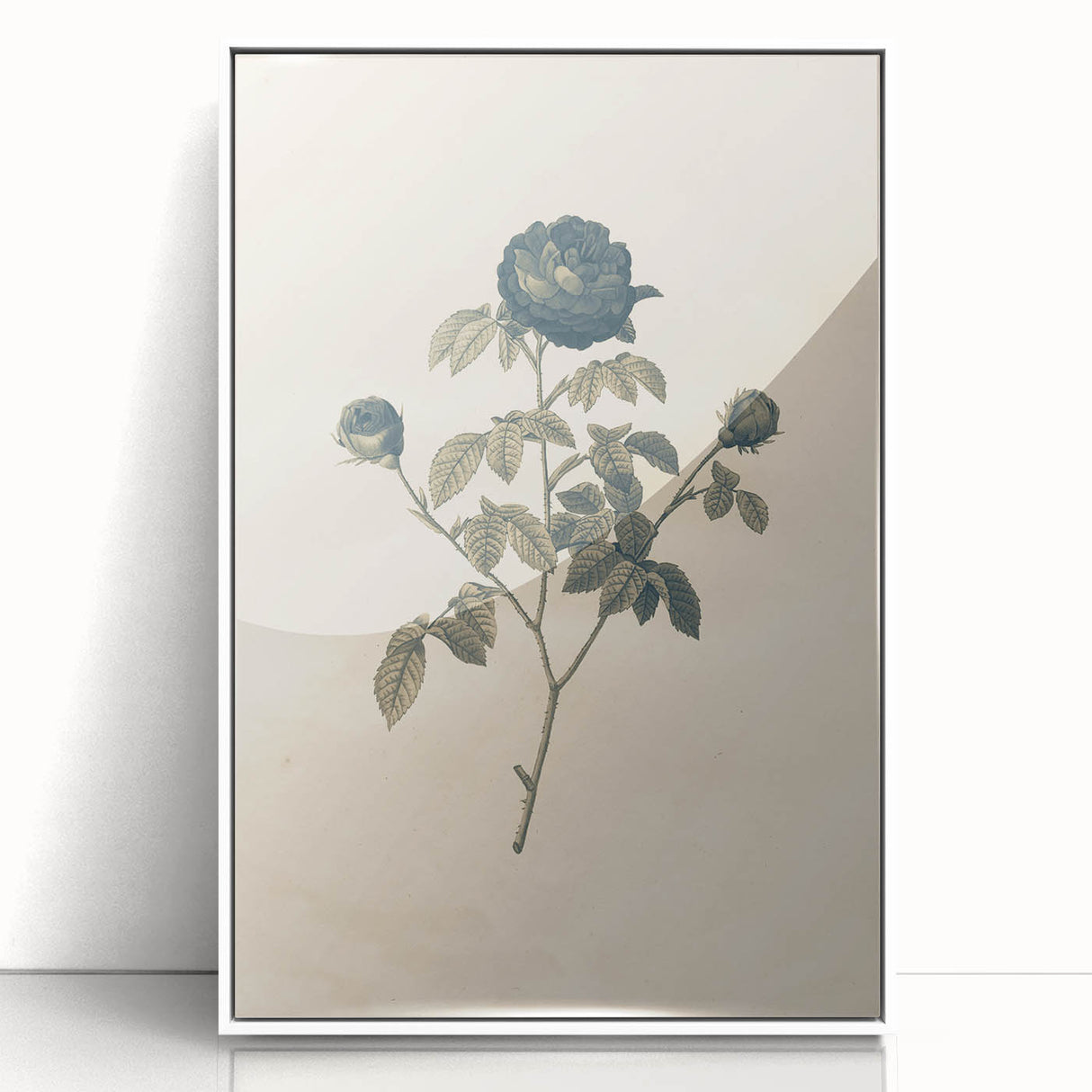 Vintage Grunge Rose Illustration - Distressed Botanical Floral Wall Art
