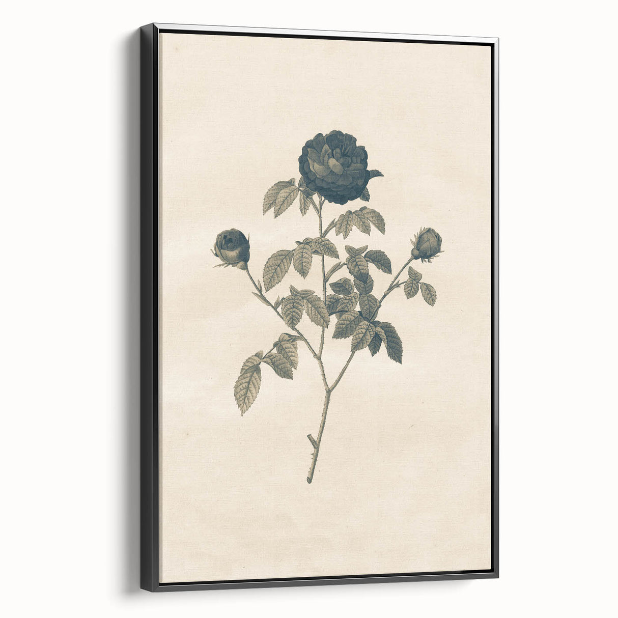 Vintage Grunge Rose Illustration - Distressed Botanical Floral Wall Art