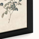 Vintage Grunge Rose Illustration - Distressed Botanical Floral Wall Art