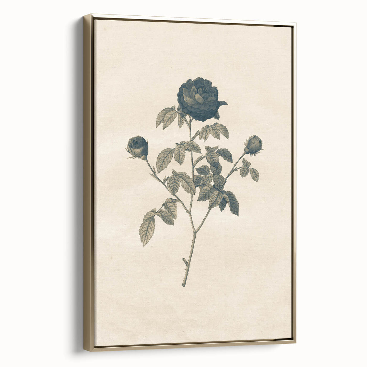 Vintage Grunge Rose Illustration - Distressed Botanical Floral Wall Art