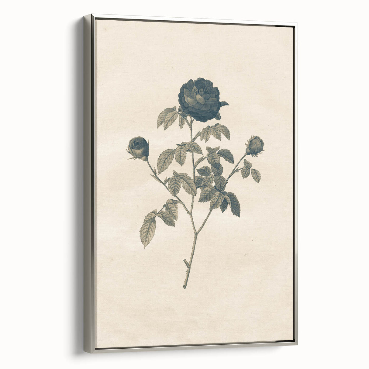 Vintage Grunge Rose Illustration - Distressed Botanical Floral Wall Art