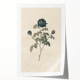 Vintage Grunge Rose Illustration - Distressed Botanical Floral Wall Art