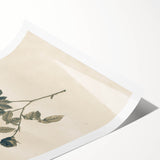 Vintage Grunge Rose Illustration - Distressed Botanical Floral Wall Art