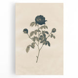 Vintage Grunge Rose Illustration - Distressed Botanical Floral Wall Art