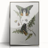 Grunge Aesthetic Art: Vintage Butterfly Illustration Grunge Wall Art