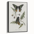 Grunge Aesthetic Art: Vintage Butterfly Illustration Grunge Wall Art