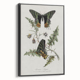 Grunge Aesthetic Art: Vintage Butterfly Illustration Grunge Wall Art