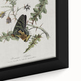 Grunge Aesthetic Art: Vintage Butterfly Illustration Grunge Wall Art