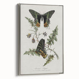 Grunge Aesthetic Art: Vintage Butterfly Illustration Grunge Wall Art