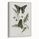 Grunge Aesthetic Art: Vintage Butterfly Illustration Grunge Wall Art