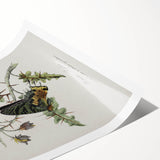 Grunge Aesthetic Art: Vintage Butterfly Illustration Grunge Wall Art