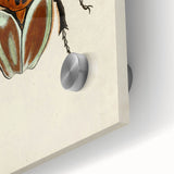 Vintage Grunge Beetle Art - Distressed Insect Illustration Wall Print