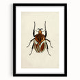 Vintage Grunge Beetle Art - Distressed Insect Illustration Wall Print