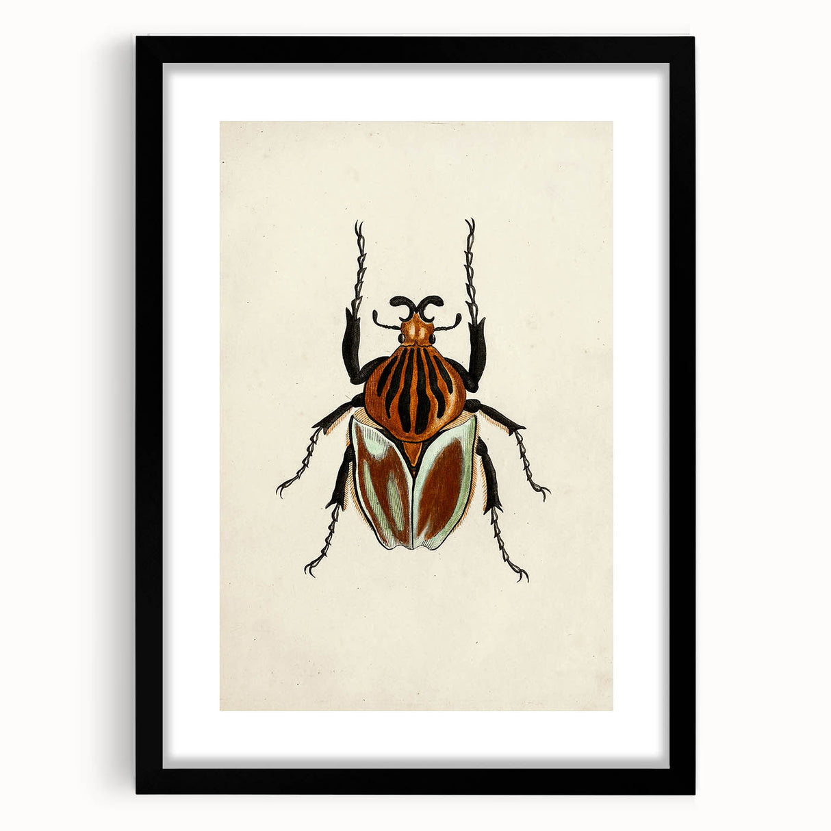 Vintage Grunge Beetle Art - Distressed Insect Illustration Wall Print