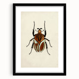 Vintage Grunge Beetle Art - Distressed Insect Illustration Wall Print