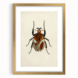 Vintage Grunge Beetle Art - Distressed Insect Illustration Wall Print
