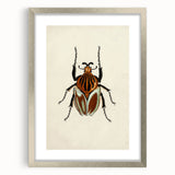 Vintage Grunge Beetle Art - Distressed Insect Illustration Wall Print