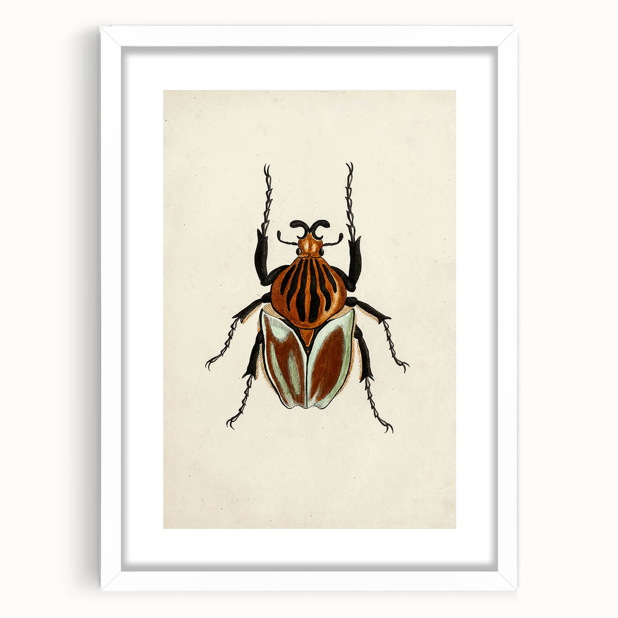 Vintage Grunge Beetle Art - Distressed Insect Illustration Wall Print