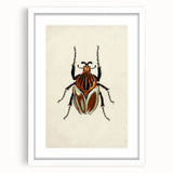 Vintage Grunge Beetle Art - Distressed Insect Illustration Wall Print