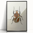 Vintage Grunge Beetle Art - Distressed Insect Illustration Wall Print