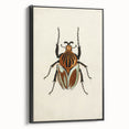 Vintage Grunge Beetle Art - Distressed Insect Illustration Wall Print