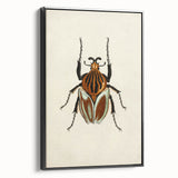 Vintage Grunge Beetle Art - Distressed Insect Illustration Wall Print