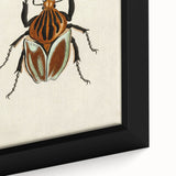 Vintage Grunge Beetle Art - Distressed Insect Illustration Wall Print