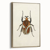 Vintage Grunge Beetle Art - Distressed Insect Illustration Wall Print
