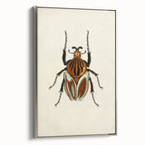 Vintage Grunge Beetle Art - Distressed Insect Illustration Wall Print