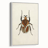 Vintage Grunge Beetle Art - Distressed Insect Illustration Wall Print