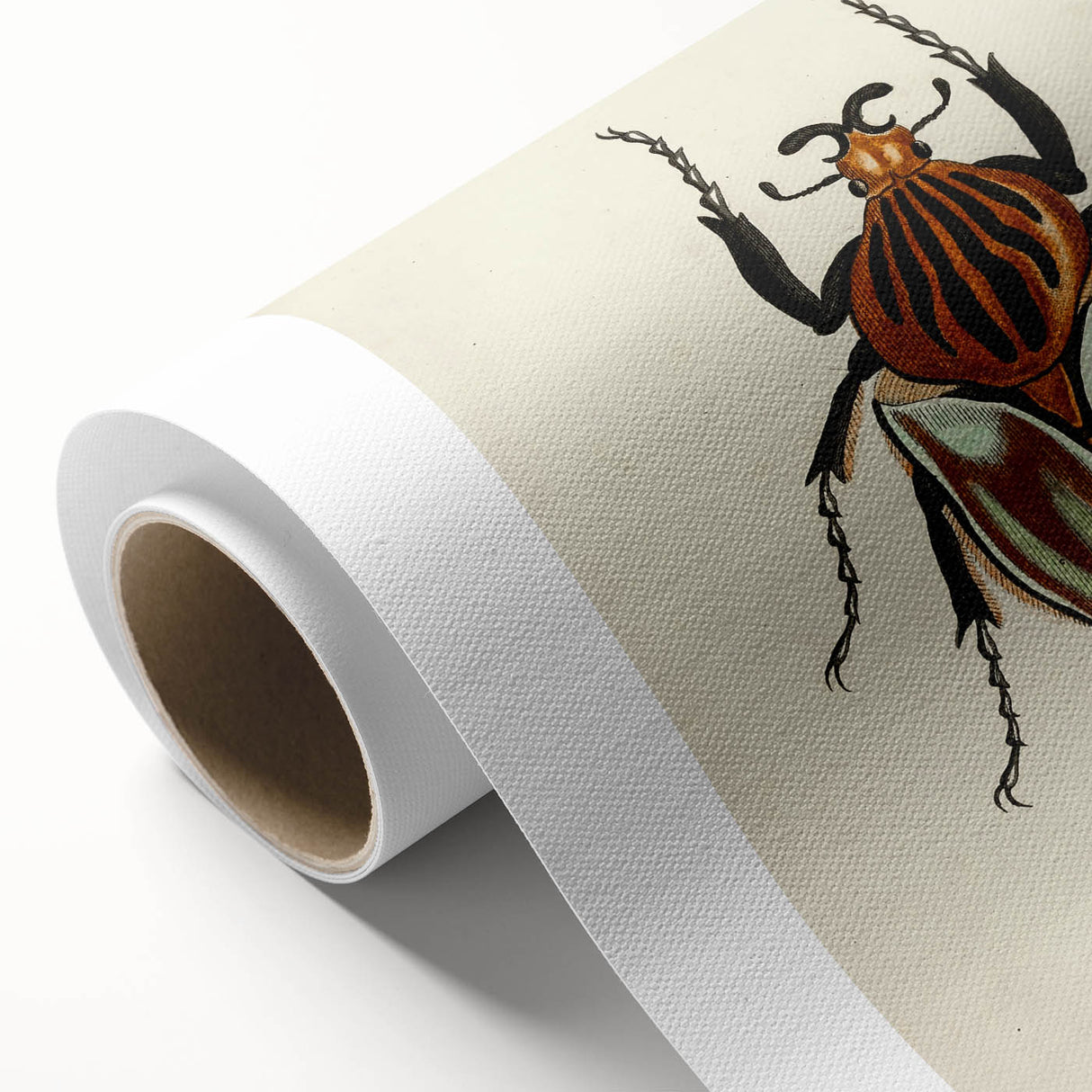 Vintage Grunge Beetle Art - Distressed Insect Illustration Wall Print