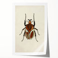 Vintage Grunge Beetle Art - Distressed Insect Illustration Wall Print