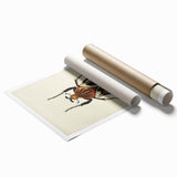 Vintage Grunge Beetle Art - Distressed Insect Illustration Wall Print