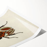 Vintage Grunge Beetle Art - Distressed Insect Illustration Wall Print