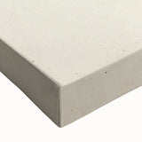 Vintage Grunge Beetle Art - Distressed Insect Illustration Wall Print