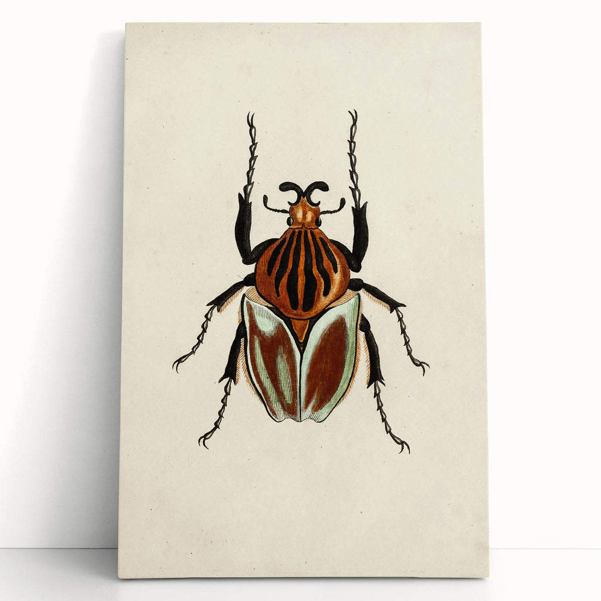 Vintage Grunge Beetle Art - Distressed Insect Illustration Wall Print