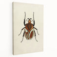 Vintage Grunge Beetle Art - Distressed Insect Illustration Wall Print