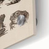 Vintage Grunge Frog Illustration - Distressed Amphibian Wall Art Print