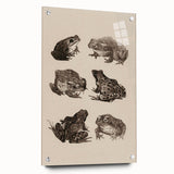 Vintage Grunge Frog Illustration - Distressed Amphibian Wall Art Print