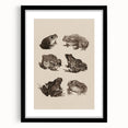 Vintage Grunge Frog Illustration - Distressed Amphibian Wall Art Print