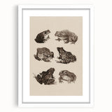 Vintage Grunge Frog Illustration - Distressed Amphibian Wall Art Print
