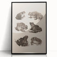 Vintage Grunge Frog Illustration - Distressed Amphibian Wall Art Print