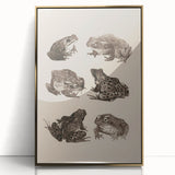 Vintage Grunge Frog Illustration - Distressed Amphibian Wall Art Print