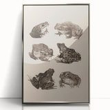 Vintage Grunge Frog Illustration - Distressed Amphibian Wall Art Print