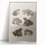 Vintage Grunge Frog Illustration - Distressed Amphibian Wall Art Print